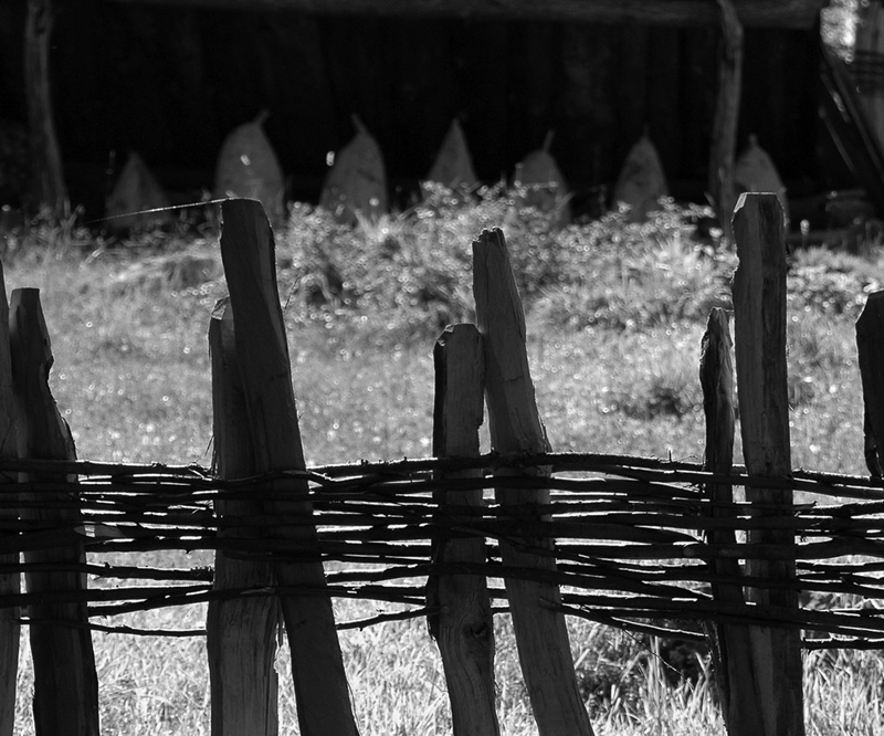 Медијске најаве изложбe фотографија ШАПАТ КОЉА аутора Рајка Каришића